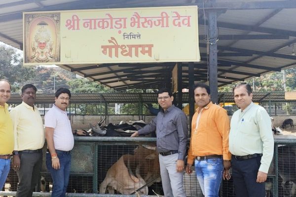 बीकानेर जैन परिषद सदस्यों द्वारा गौशाला में किया गया सेवा कार्य