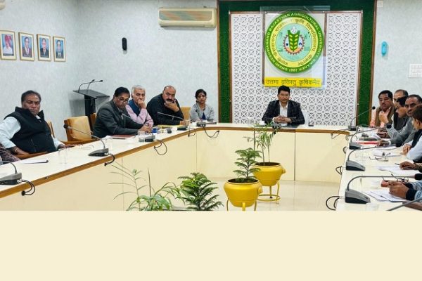 अब बीकानेर में ही तैयार होंगे खजूर के टिश्यू कल्चर के पौधे