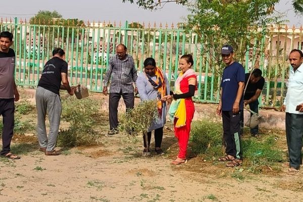 महाराजा गंगासिंह विश्वविद्यालय में श्रमदान क़े साथ पौधों में सिंचाई और देखभाल
