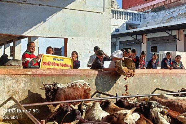 शांति विद्या निकेतन माध्यमिक विद्यालय की करुणा क्लब इकाई द्वारा गौ सेवा