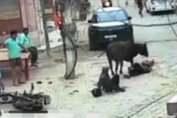 बेकाबू गाय ने पिता-पुत्री समेत तीन पर हमला किया