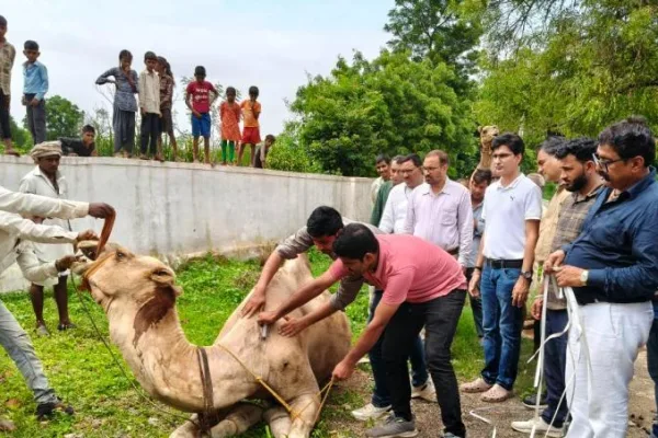 प्रतापगढ़ के सोबनिया गांव में कृषक-वैज्ञानिक संवाद और पशु स्वास्थ्य जागरूकता शिविर का आयोजन