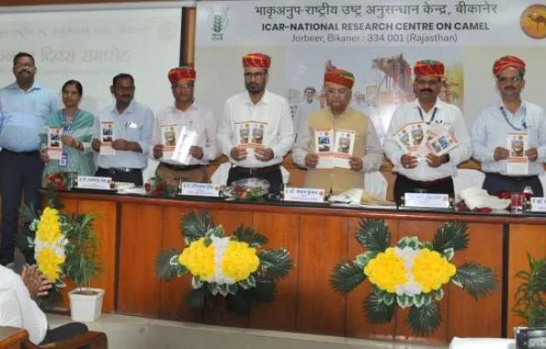 ऊंटनी के दूध उत्पादों की ब्रांडिंग और मार्केटिंग पर जोर