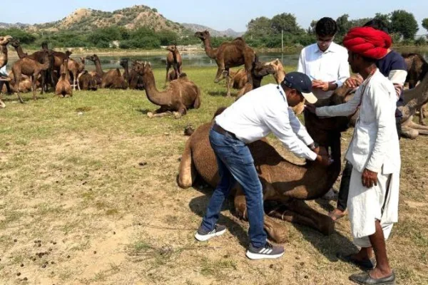 जनजातीय क्षेत्र सिरोही में एनआरसीसी द्वारा पशु स्वास्थ्य शिविर और राष्ट्रीय महिला किसान दिवस का आयोजन